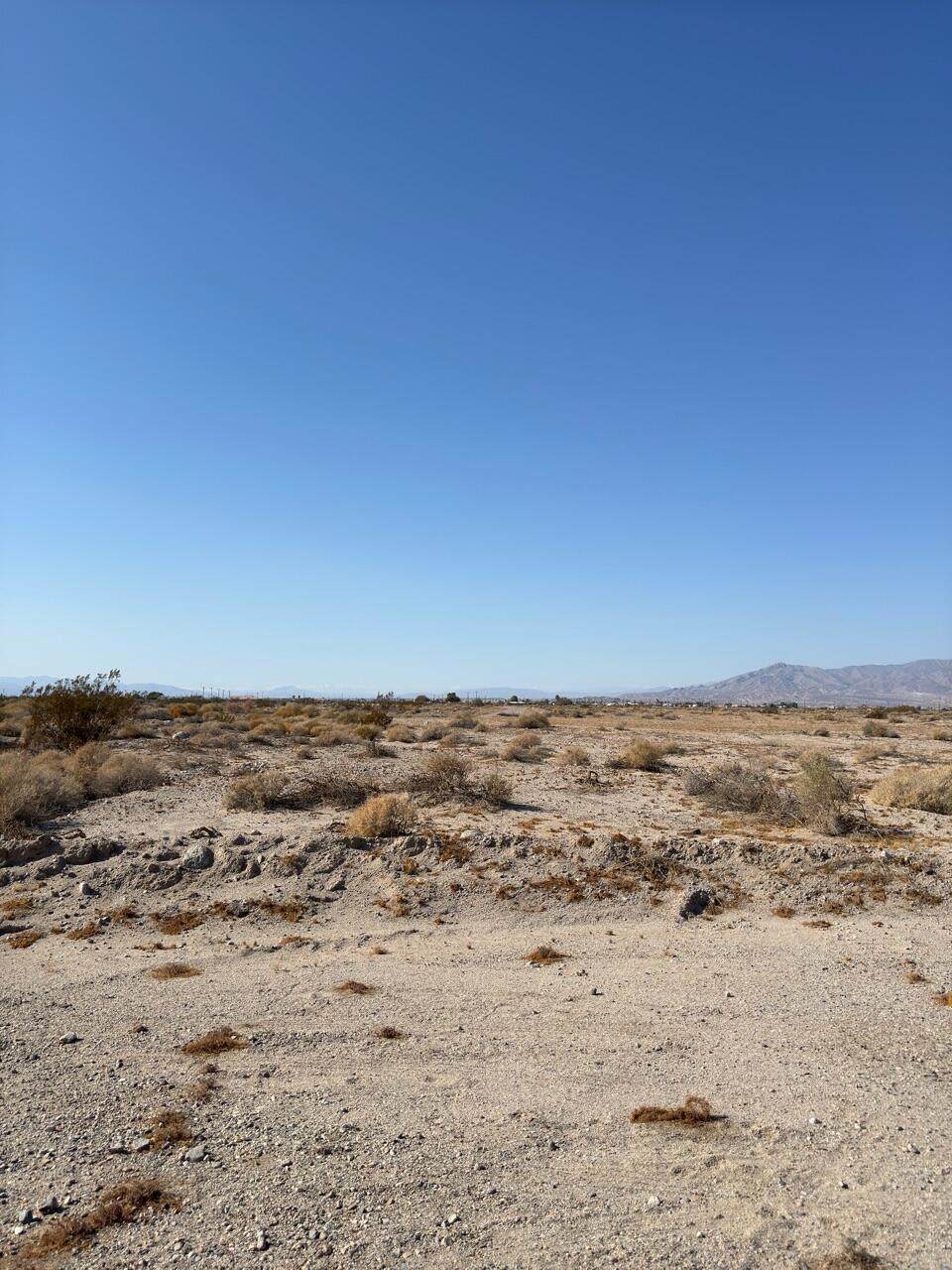 2625 Sea Manor Avenue - Photo 1