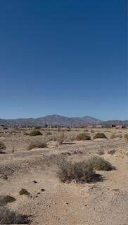 2141 Iridescent Avenue - Photo 1