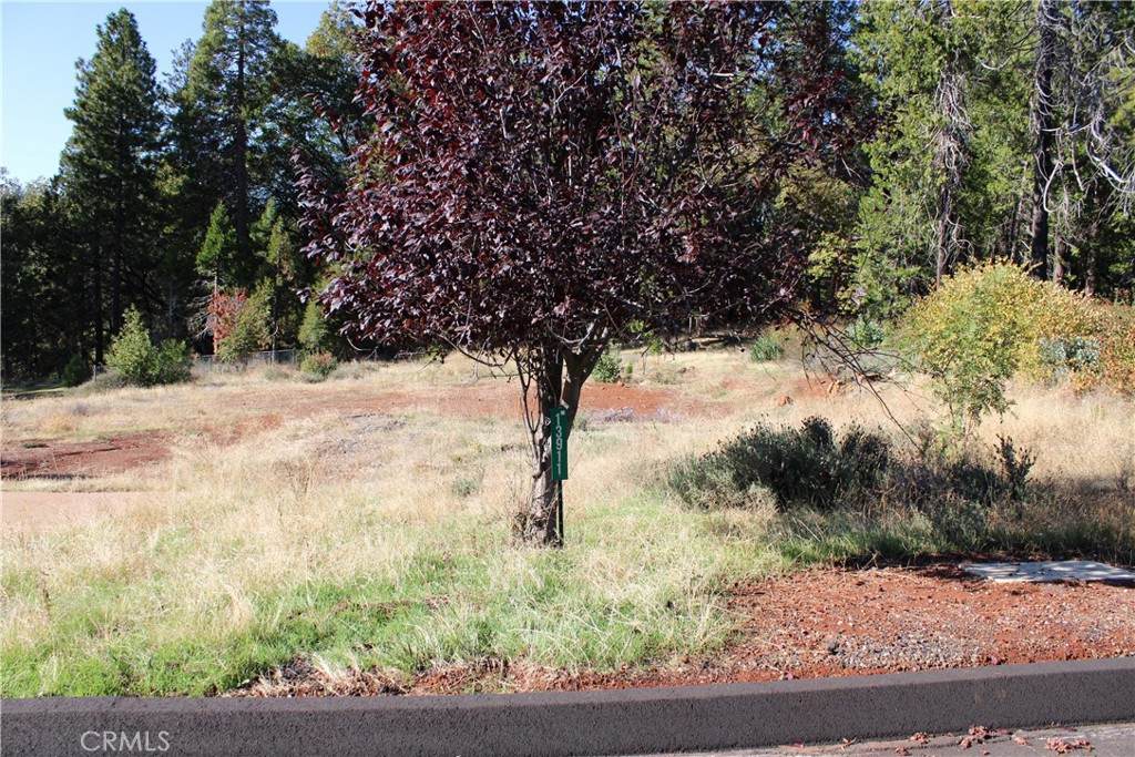 13911 Cluster Court - Photo 1