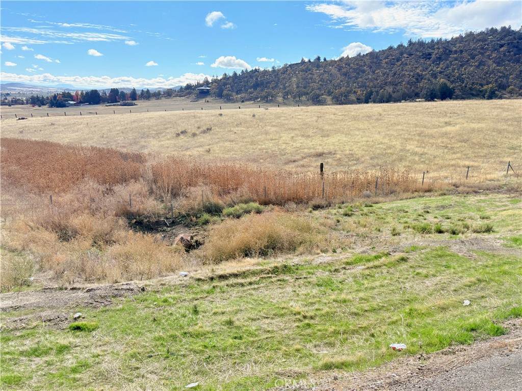 0 10 Acres Riverview Dr. - Photo 1