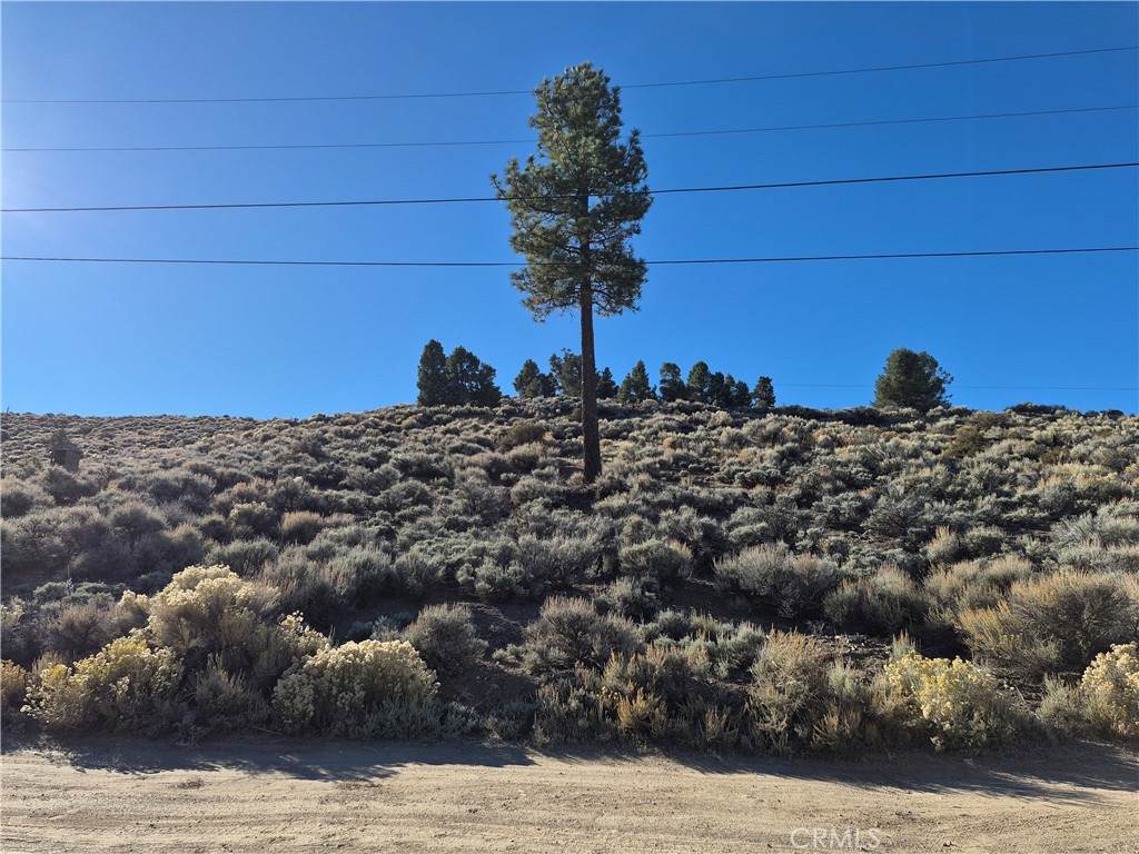 0 Rustic Canyon - Photo 1