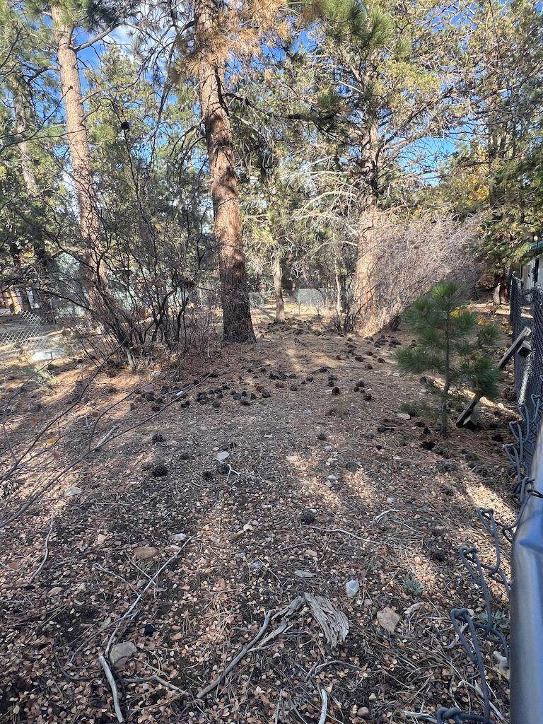 569 Victoria Avenue - Photo 1