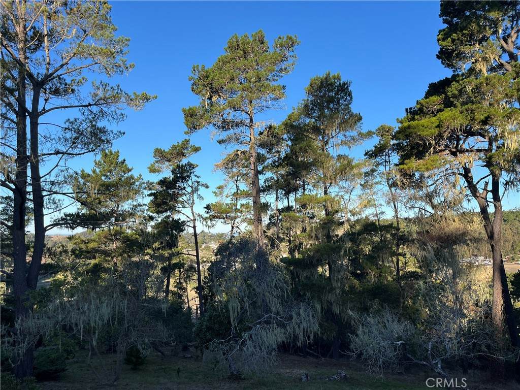 3235 Rogers - Photo 1