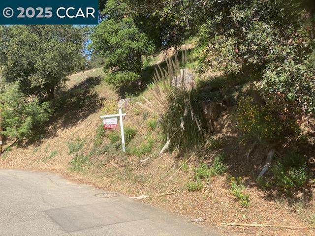 0 Woodrow Drive - Photo 1