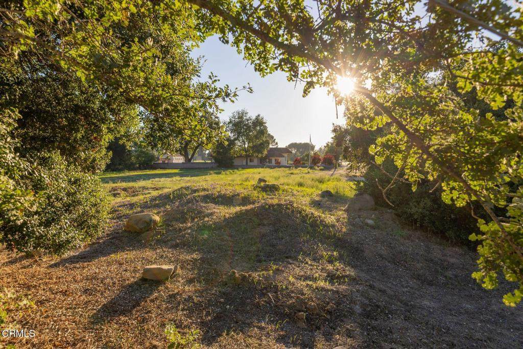 0 Ojai Avenue - Photo 1