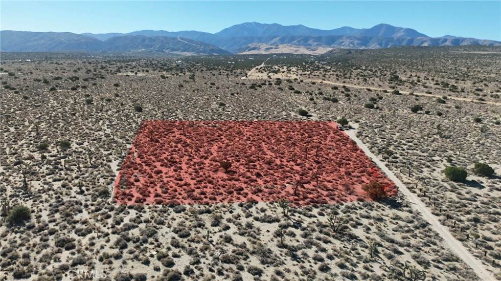 0 Fort Tejon Road - Photo 1