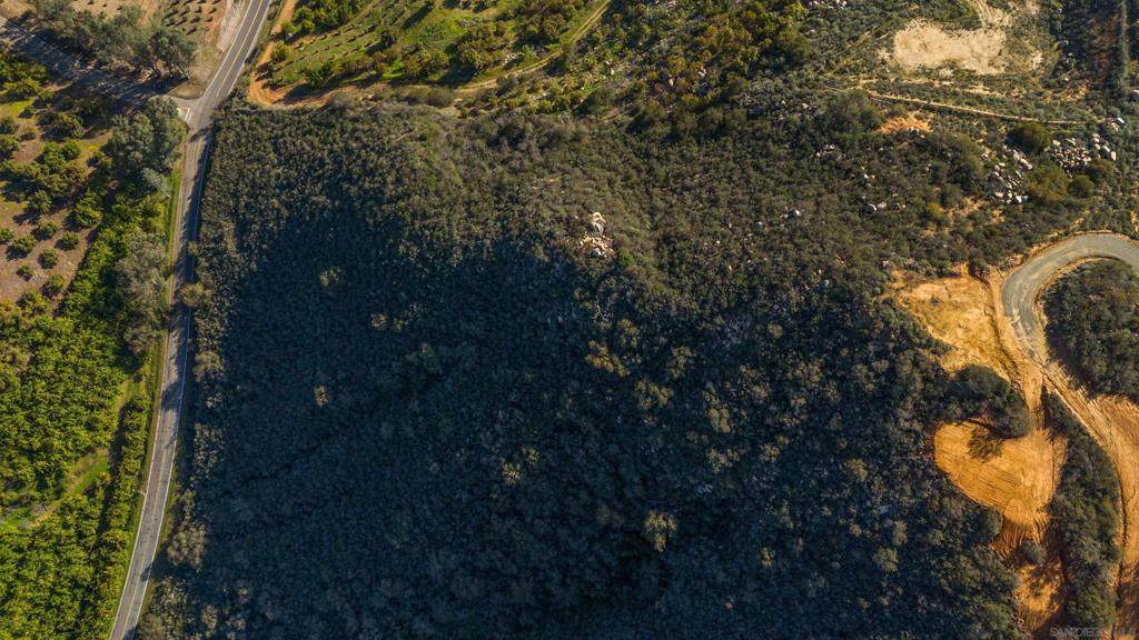 555 Calle Jardin - Photo 1