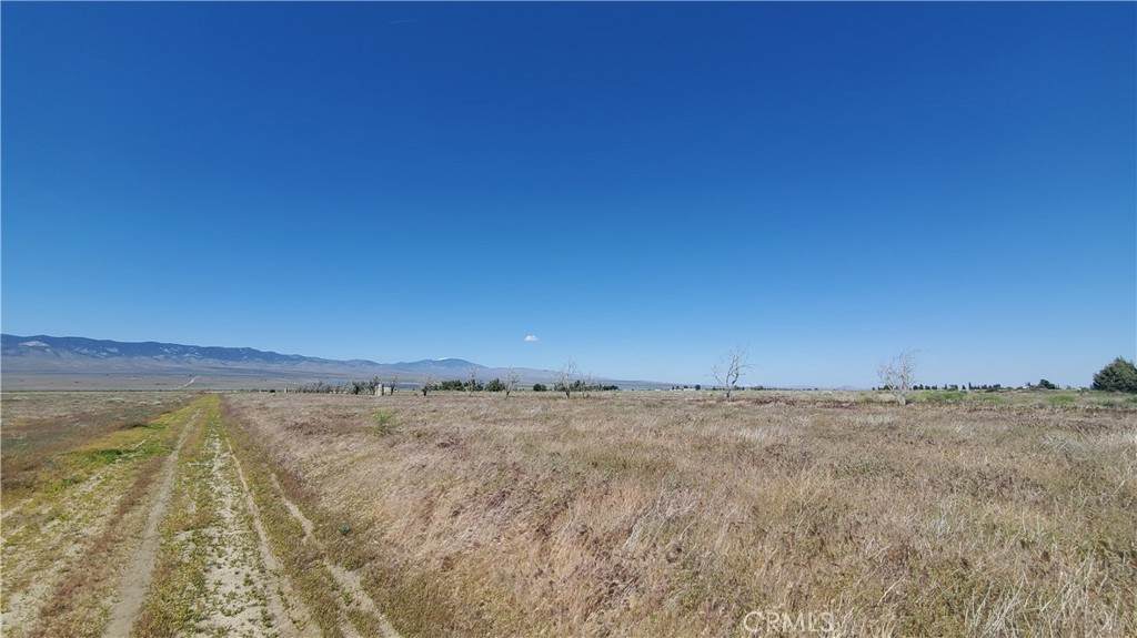 0 263rd St West North Of Ave C13 - Photo 1