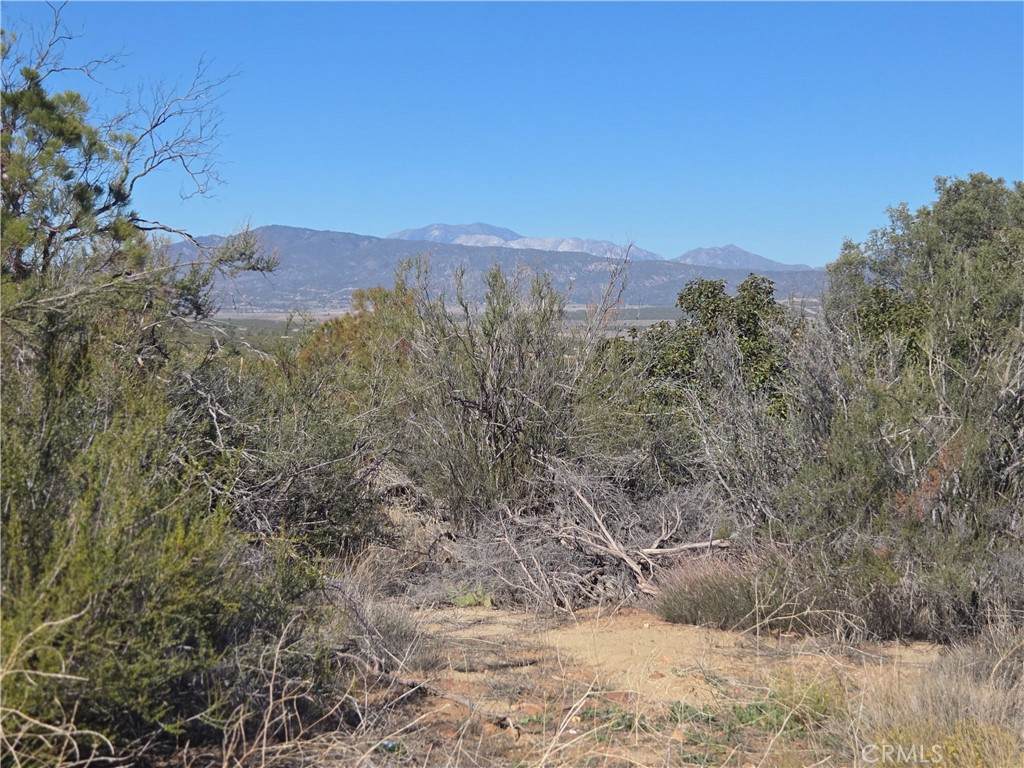 0 Taron Trail - Photo 1