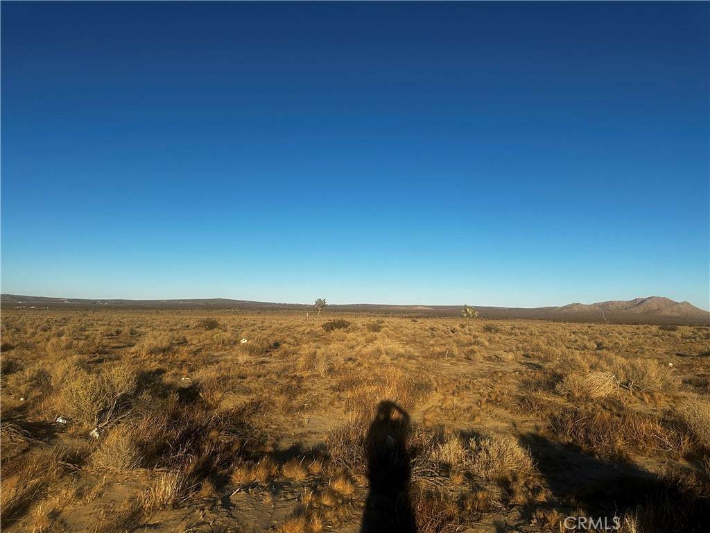 145-DRT Ave I - Photo 1