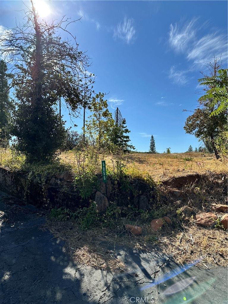 5856 Grape Lane - Photo 1