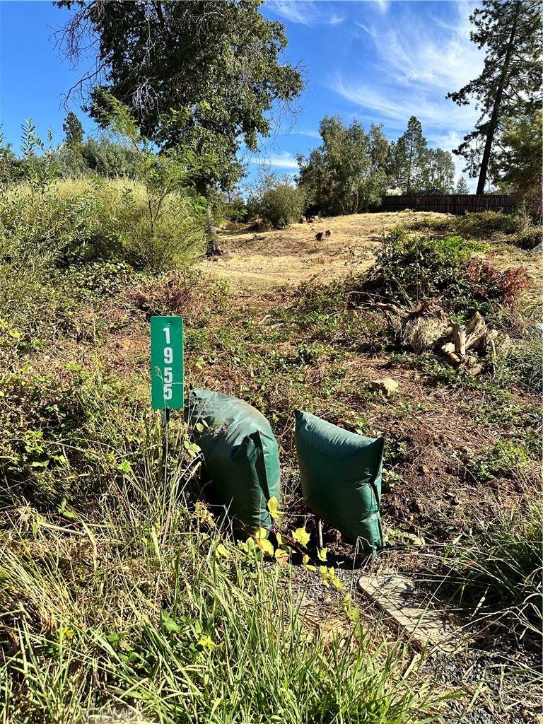 1955 Golf Road - Photo 1