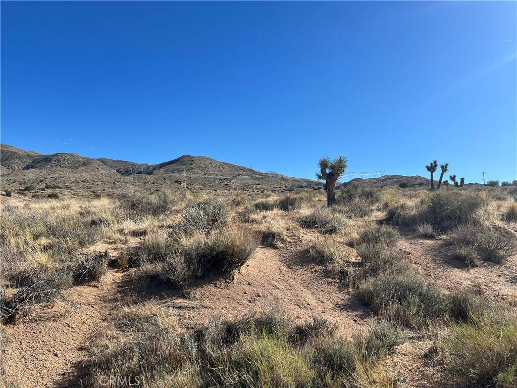 26330 Mountain View Road - Photo 1