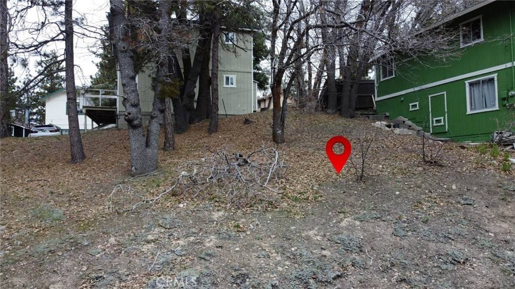 707 Blue Bird Ln - Photo 1