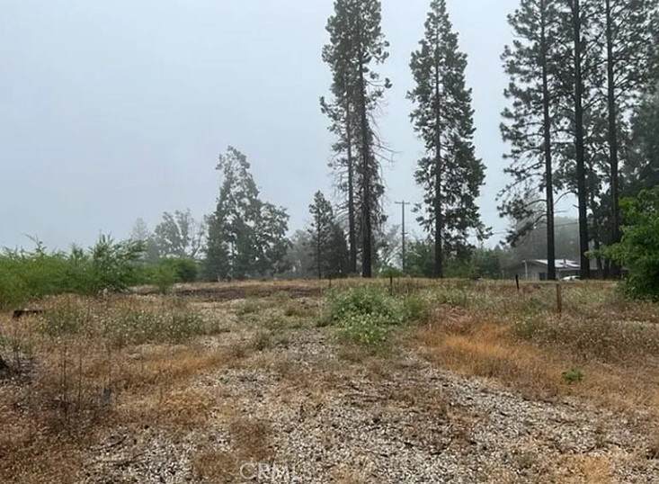 13620 Park - Photo 1