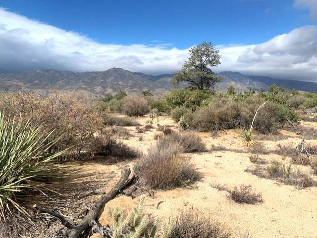 368 Palm Canyon Drive - Photo 1