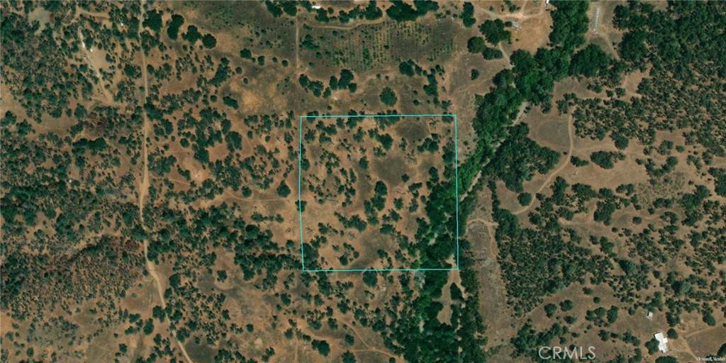 33089 Sycamore Road - Photo 1