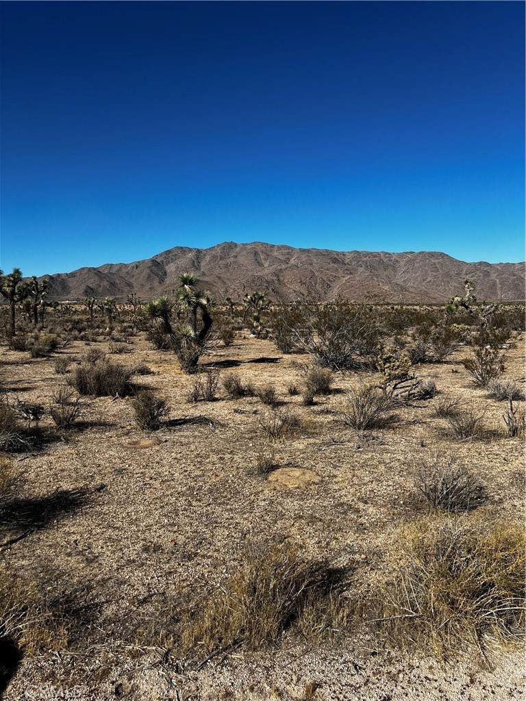0 Canyon View Road - Photo 1