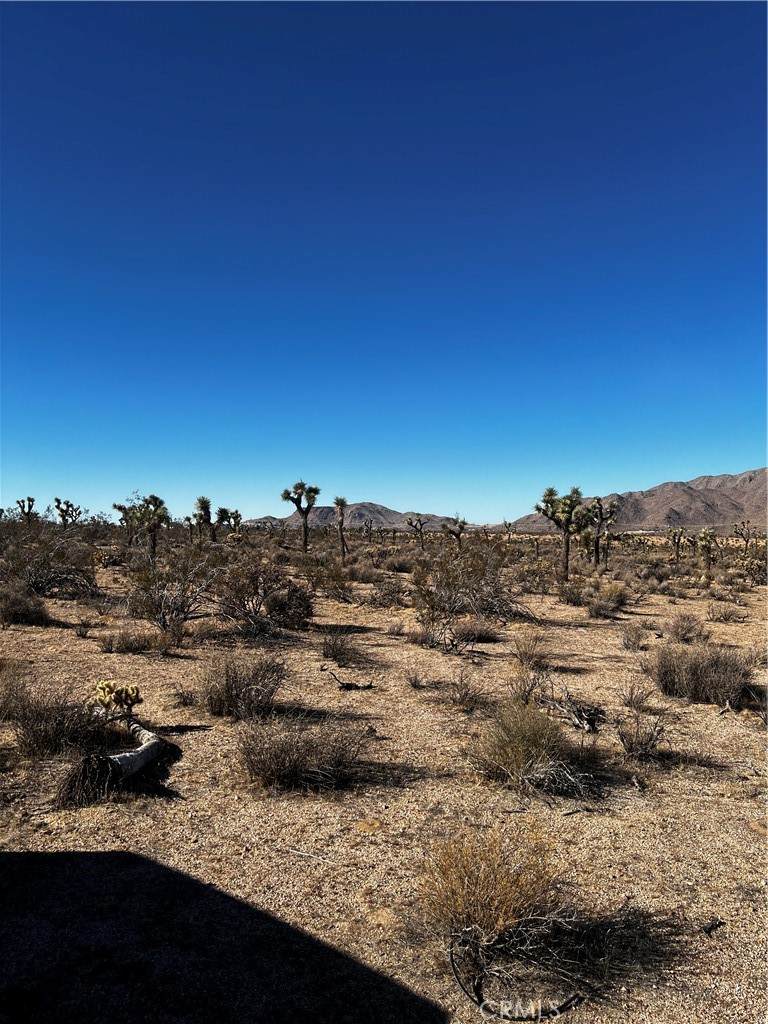 https://bt-photos.global.ssl.fastly.net/socal/orig_boomver_1_404492526-2.jpg
