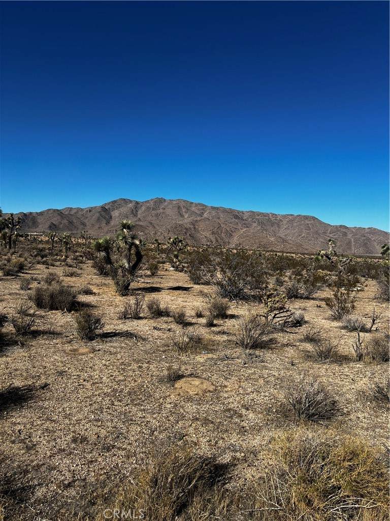 https://bt-photos.global.ssl.fastly.net/socal/orig_boomver_1_404492526-2.jpg