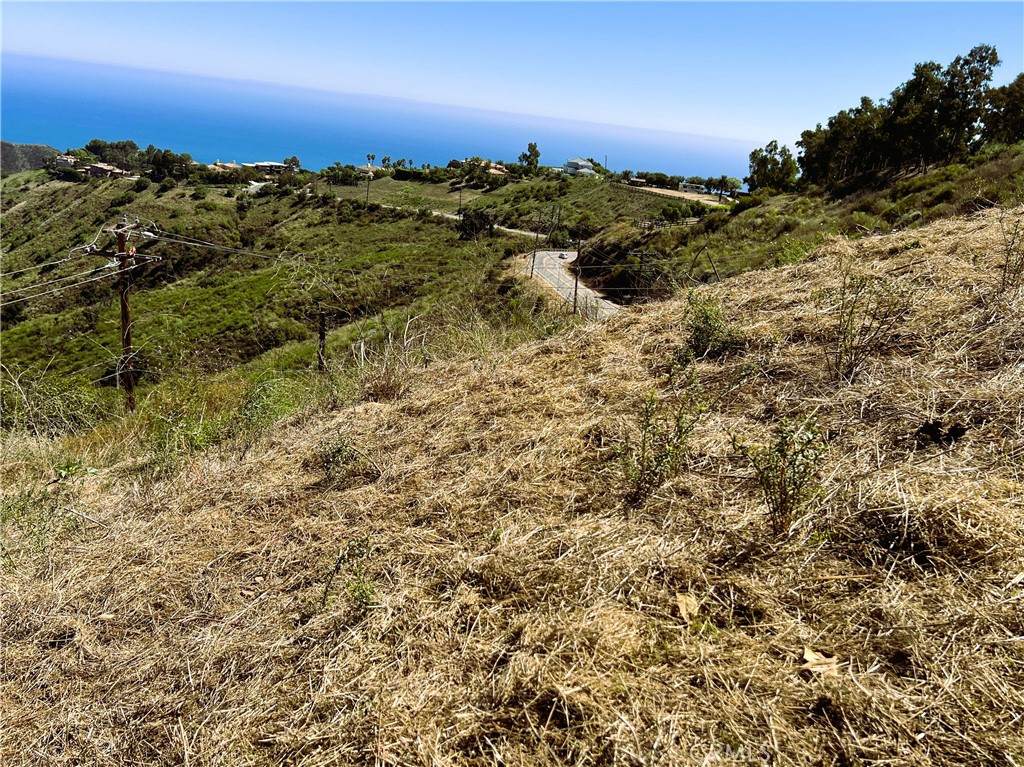 0 Latigo Canyon Rd - Photo 1