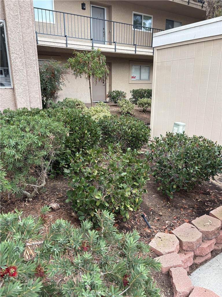 3367 Punta Alta - Photo 1