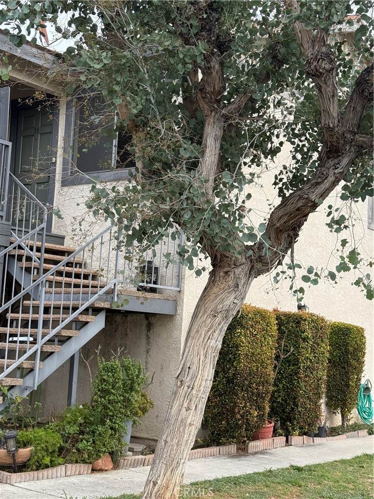 10726 Oak Street - Photo 1