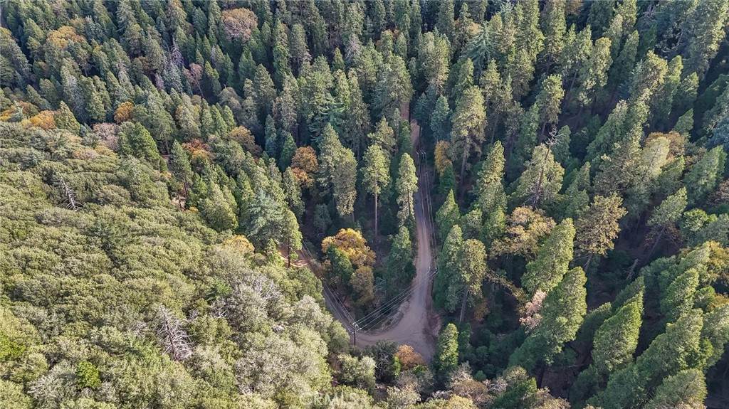 0 Deer Run Road - Photo 1