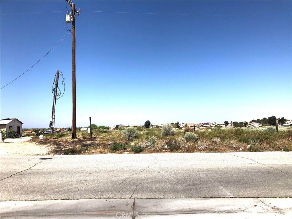 0 Palomino Ct/Cor E Ave S-12 - Photo 1