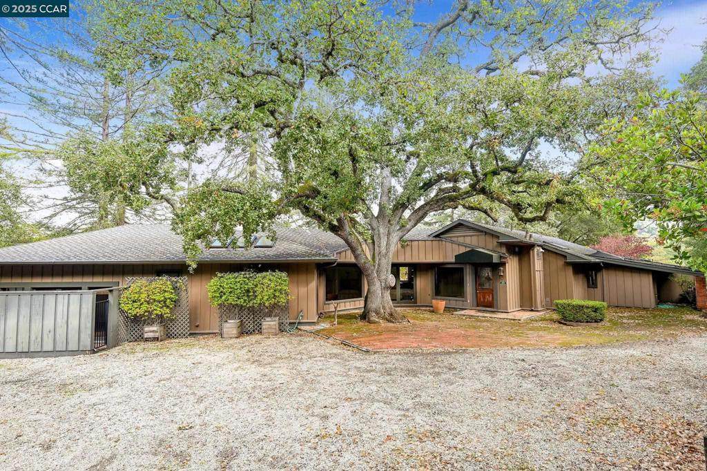 230 Moraga Way - Photo 1