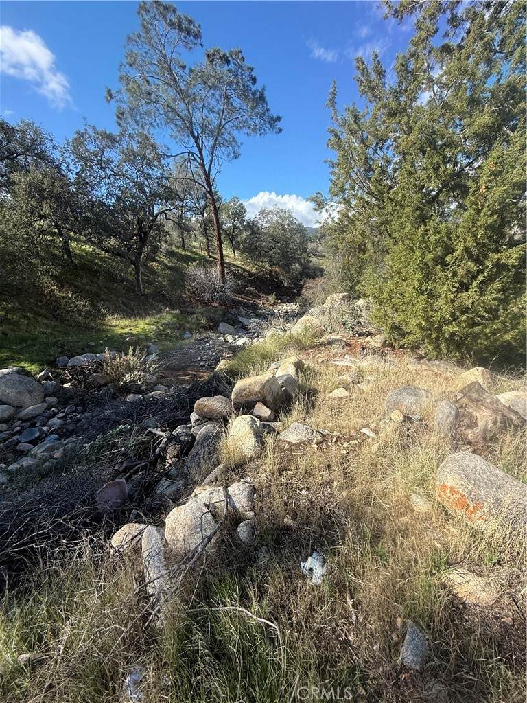 248 Bodfish Canyon - Photo 1