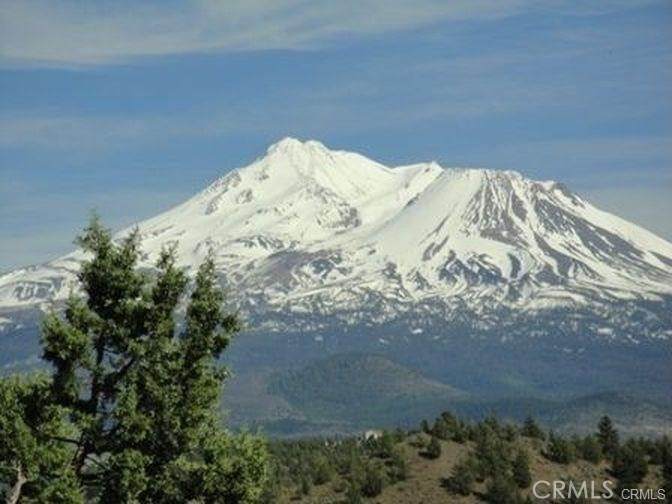 5115 Palomino Rd - Photo 1