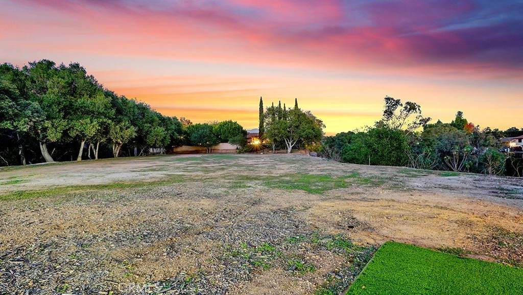 0 Sunflower - Photo 1