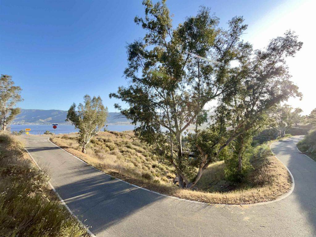 0 Sky Line Drive - Photo 1