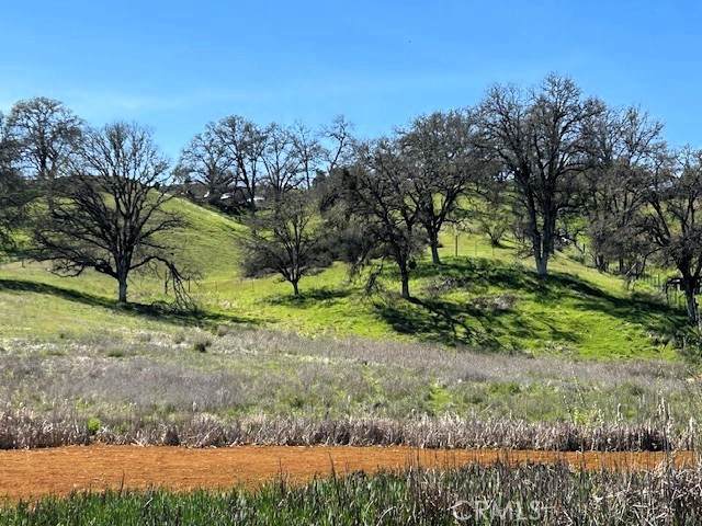 355 Pine Ridge - Photo 1