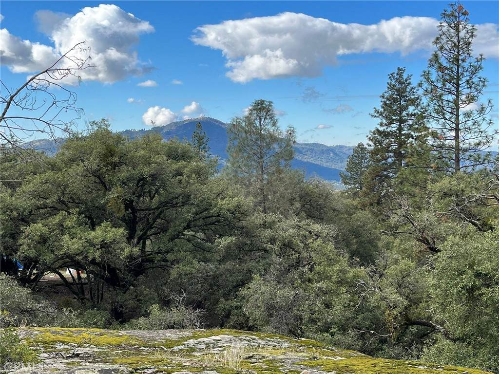 0 Jean Road - Photo 1