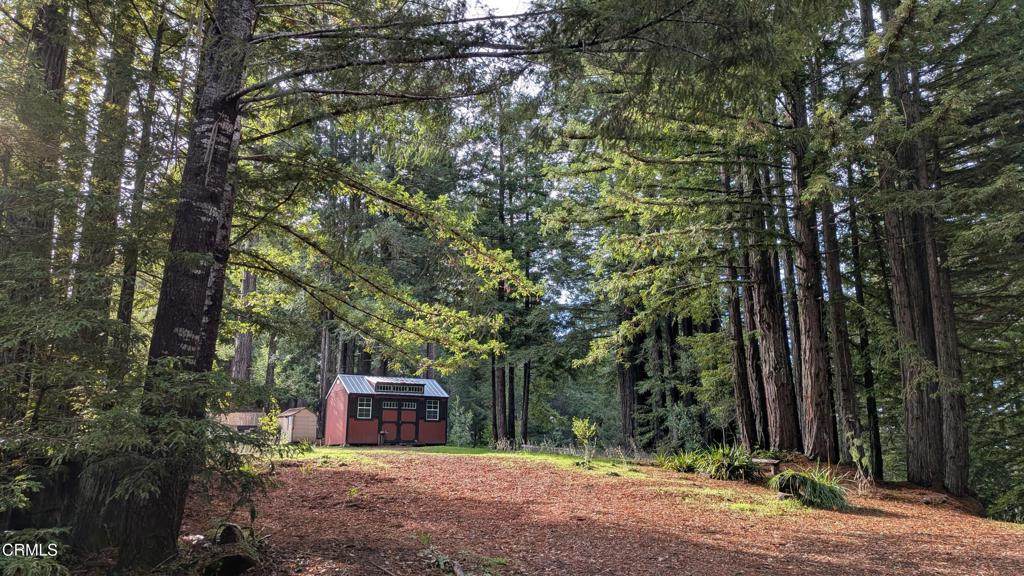 19800 Appaloosa Way - Photo 1