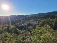 1894 Lot 31 Arrow Bear Park - Photo 1