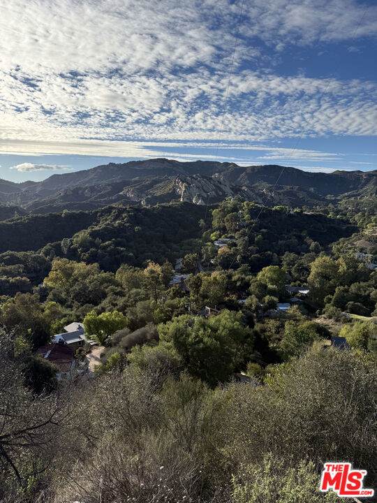 0 Topanga Skyline Drive - Photo 1