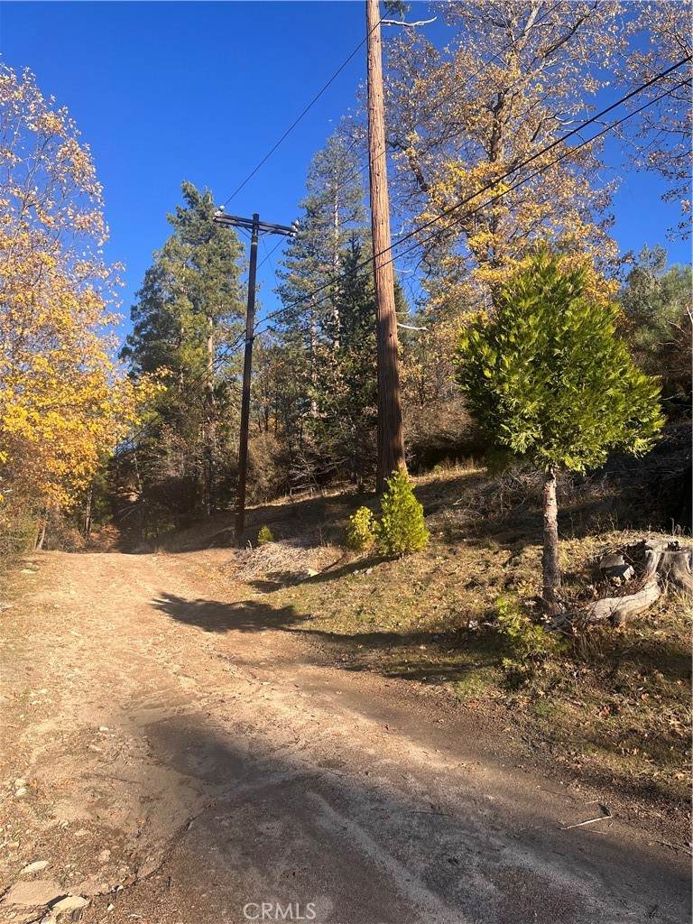 29834 Juniper Drive - Photo 1