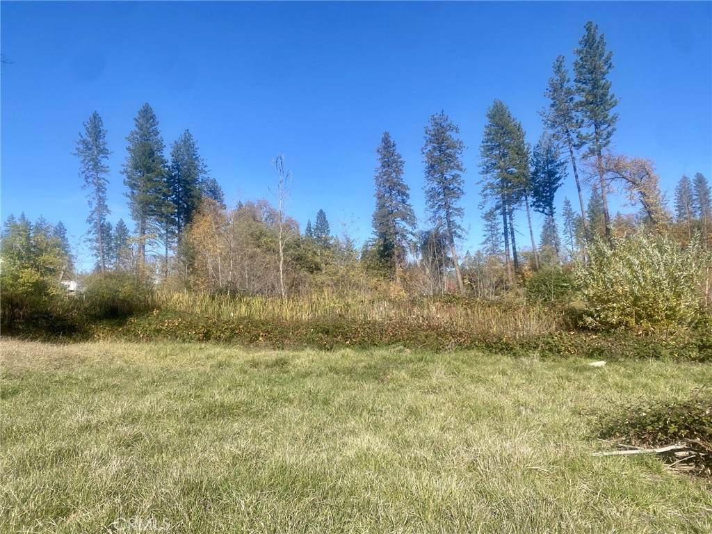 1865 Paige - Photo 1