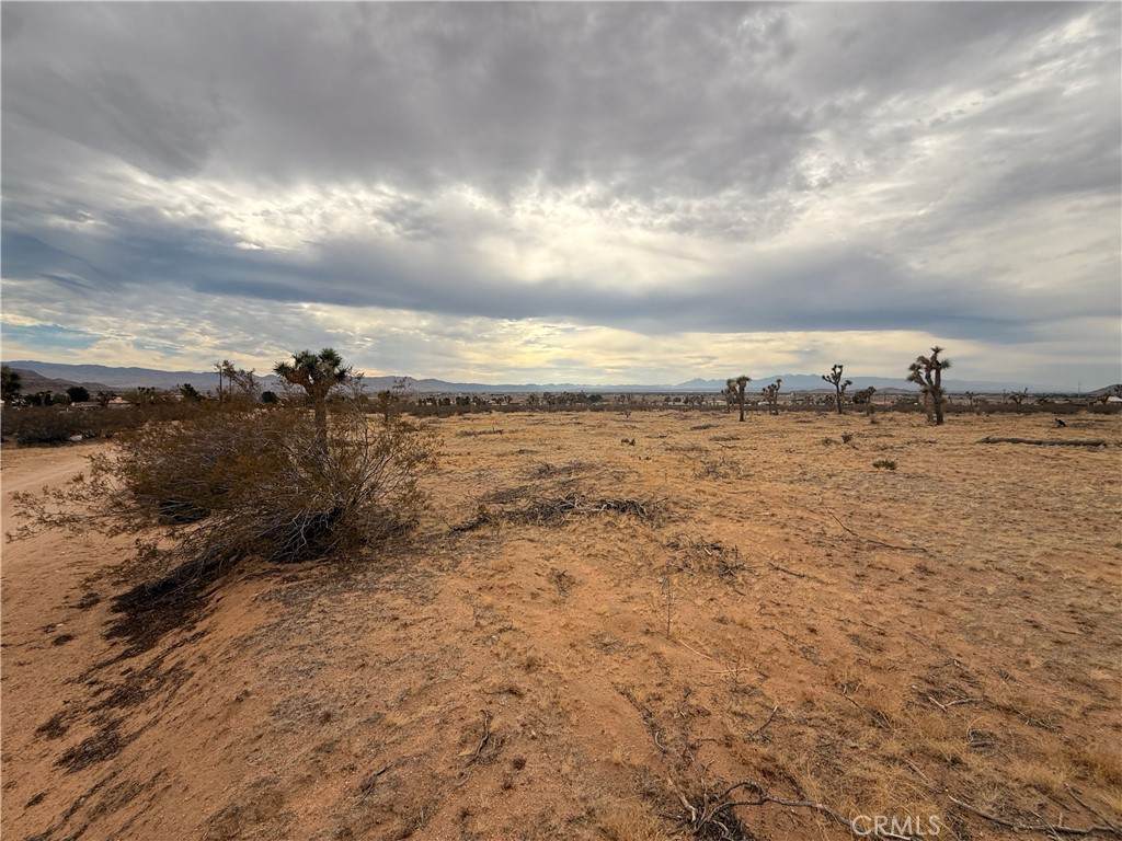 16252 Olema Road - Photo 1