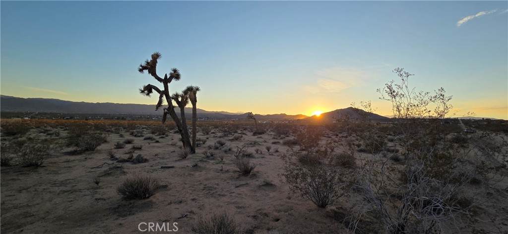 2 Belmont Street - Photo 1