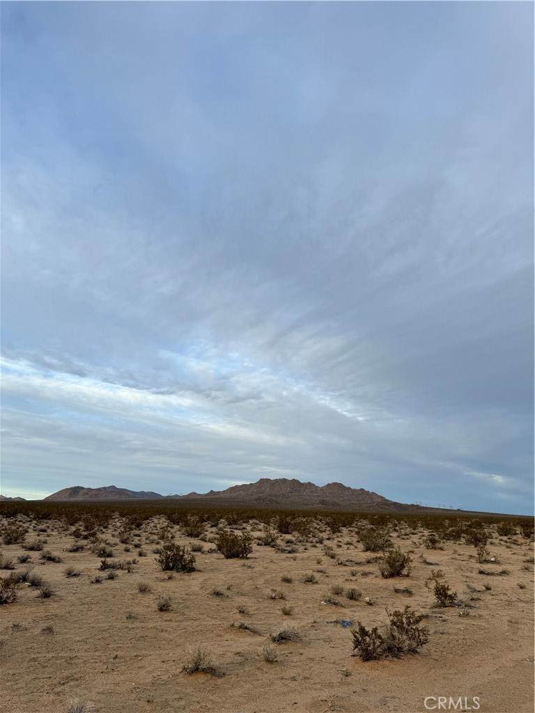 0 Harrod Rd - Photo 1