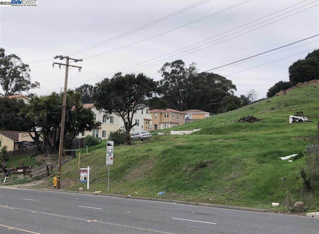 26660 Hayward Blvd - Photo 1