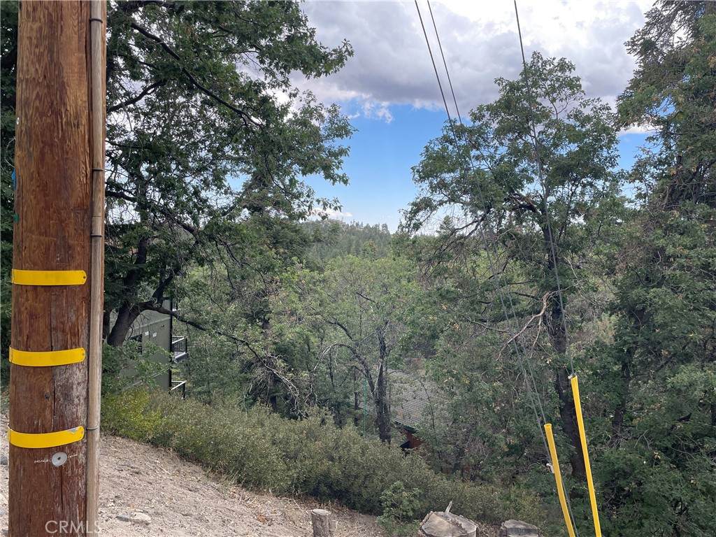 33462 Angeles Drive - Photo 1