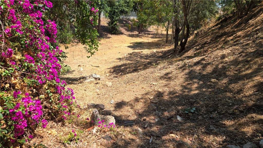 631 Avenue 48 - Photo 1