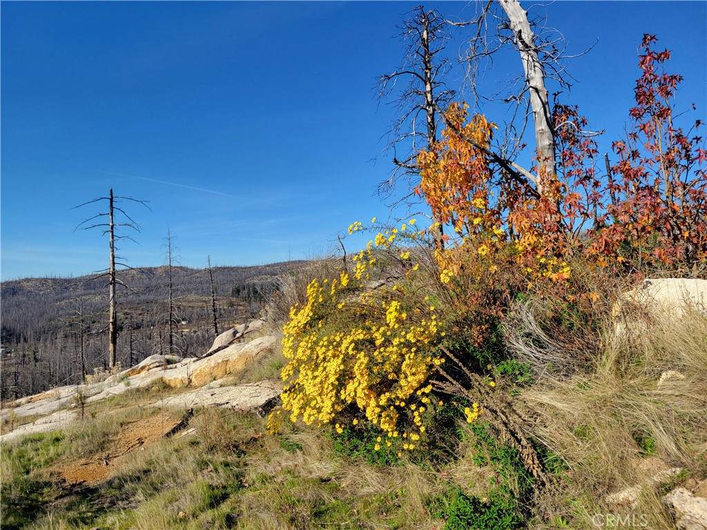 161 Shadow Creek Road - Photo 1