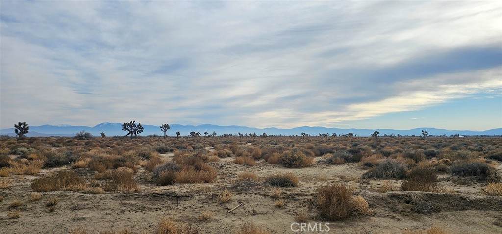 0 80th E Vic Avenue G - Photo 1