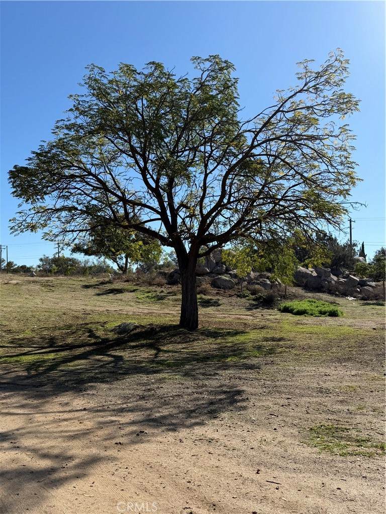 22450 Gavilan - Photo 1